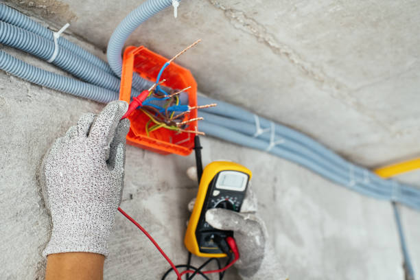 Best Electrician for Home Renovation  in Hanover, MN